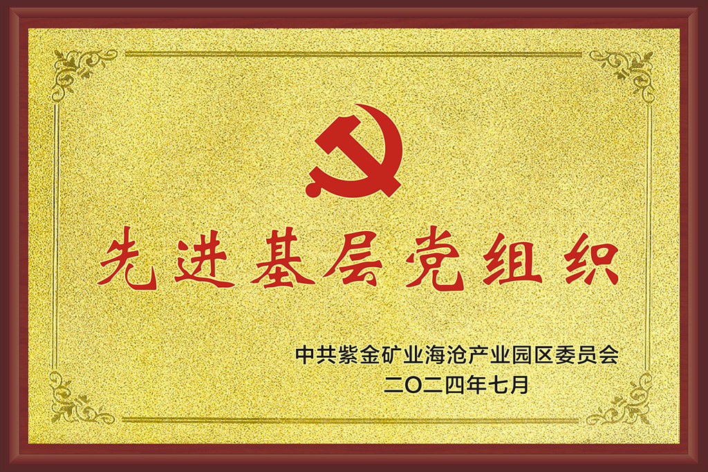 先進(jìn)基層黨組織